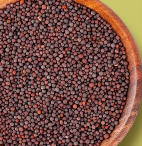 सरसों  Mustard Seeds